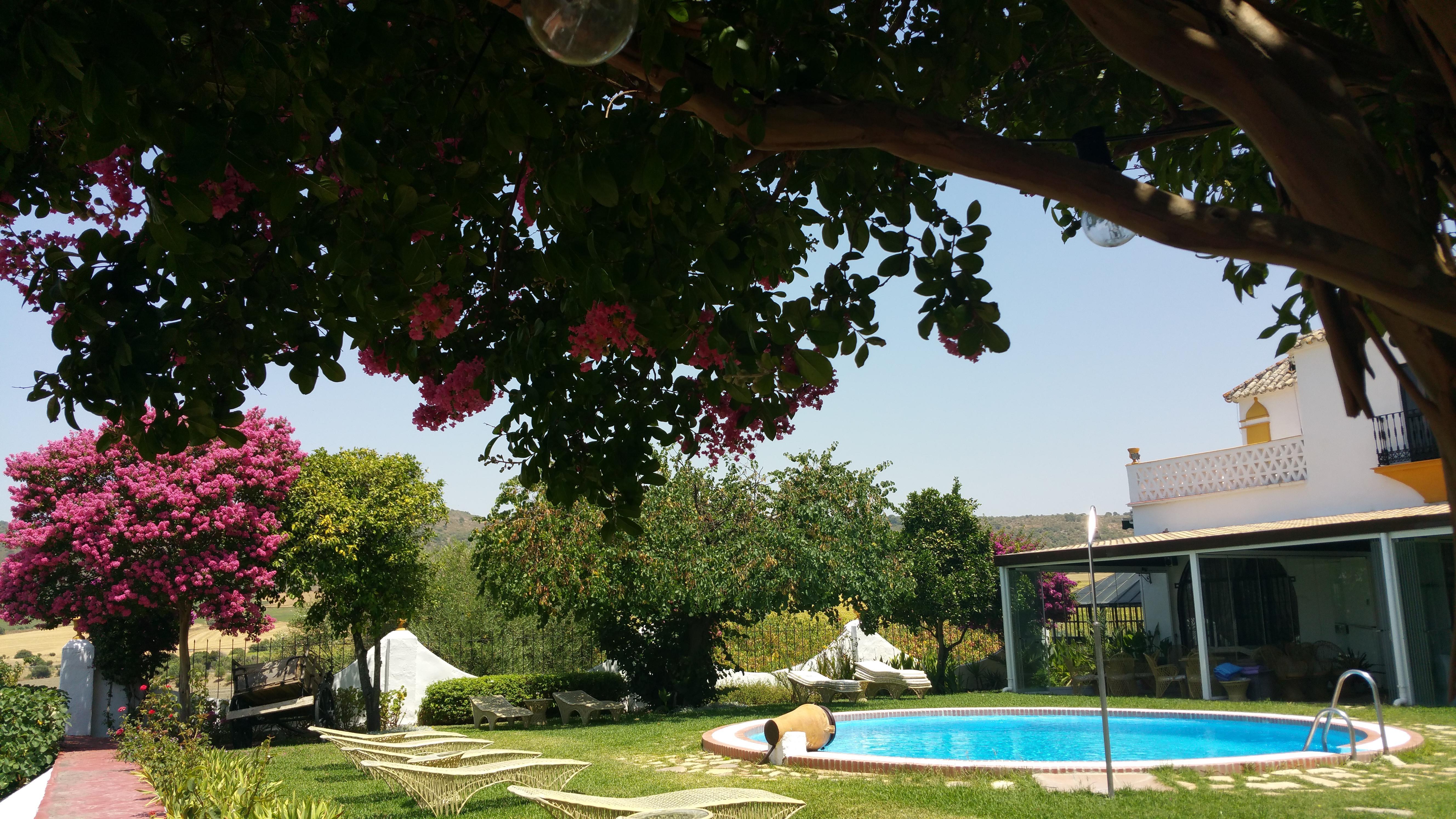 Hacienda El Santiscal Adults Only Hotell Arcos de la Frontera Eksteriør bilde