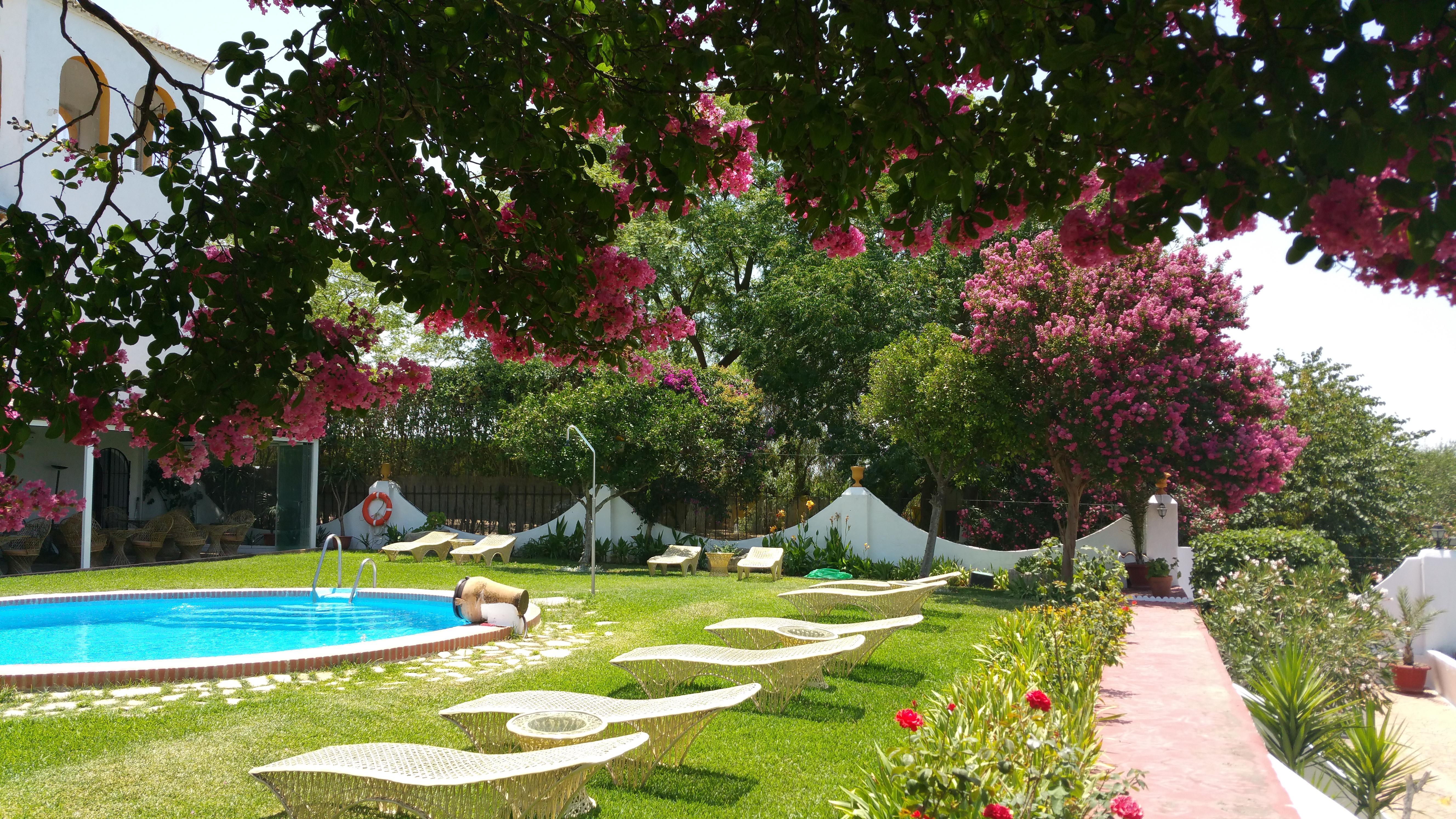 Hacienda El Santiscal Adults Only Hotell Arcos de la Frontera Eksteriør bilde