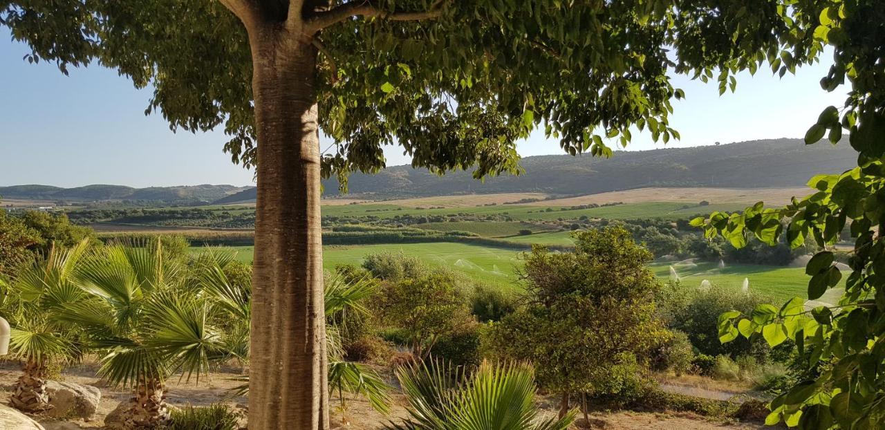 Hacienda El Santiscal Adults Only Hotell Arcos de la Frontera Eksteriør bilde