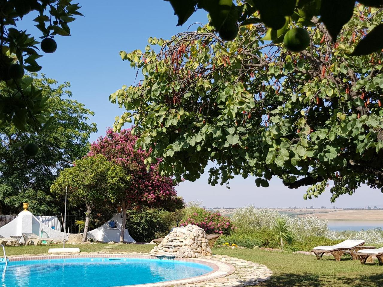 Hacienda El Santiscal Adults Only Hotell Arcos de la Frontera Eksteriør bilde